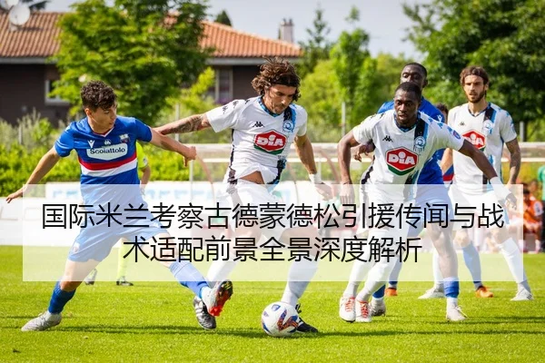国际米兰考察古德蒙德松引援传闻与战术适配前景全景深度解析（kaiyun）
